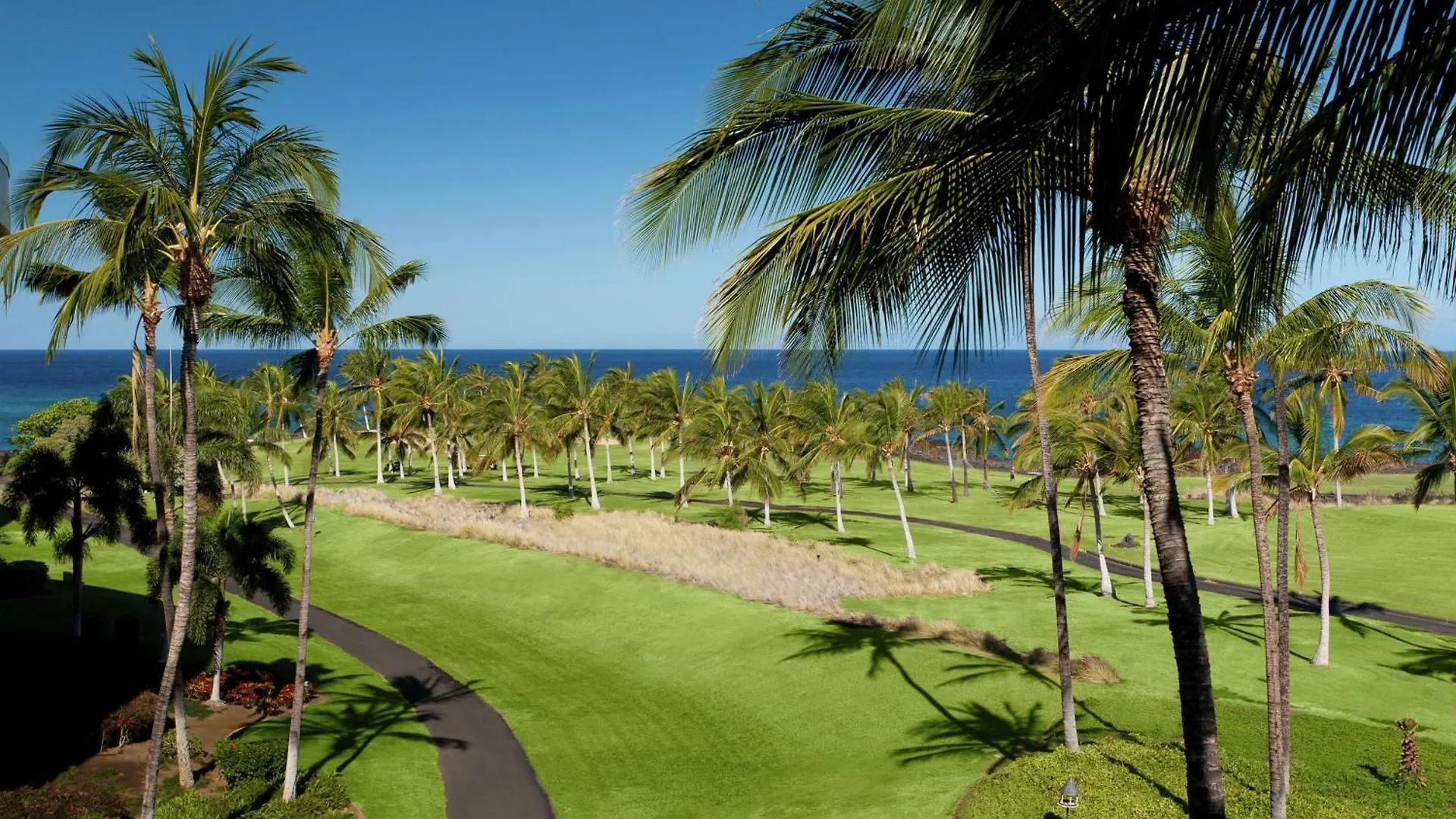 Resort Hilton Grand Vacations Club Ocean Tower Waikoloa Village